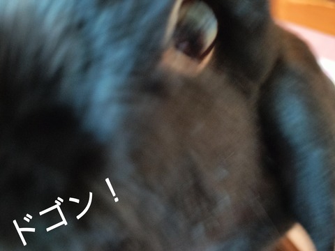 FC0F469D-87F4-48DA-AF79-1F70A4397CEE