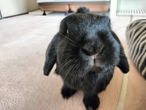 1BE8D12F-4511-40DC-AF2E-2BEB18CD26AE