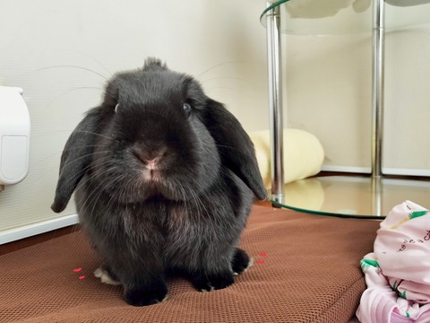 3A5212A1-FA90-4918-AB1C-1DE2B01B0C66