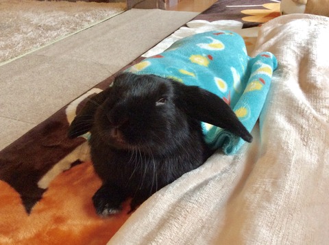 8D51A8FE-8631-4344-9584-44BA4484C6D2