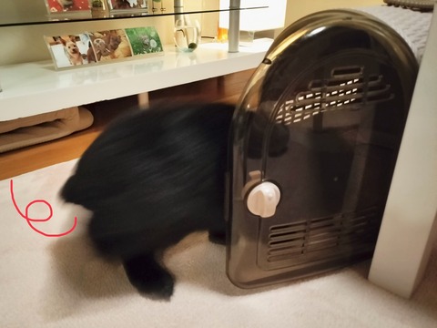 38E0A3FB-AE27-4819-BB30-86C3D7195861