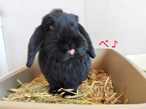 456DB79B-DF84-4BA9-85A8-48CCFF97BD15