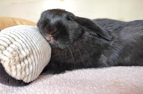 31B157A4-D3EC-46FB-95A5-AC65F6BDC65E