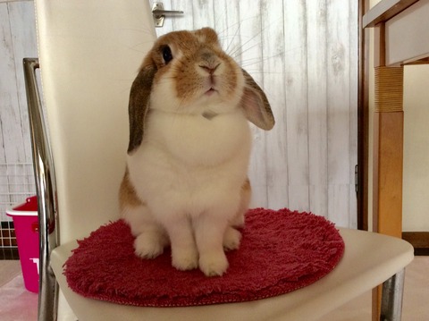 C6722DEA-6D42-4488-ACD4-32AD66006374