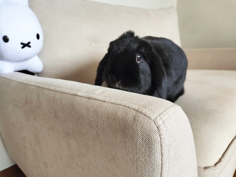 774E55C1-53BB-4A42-8EBE-3640511574C6