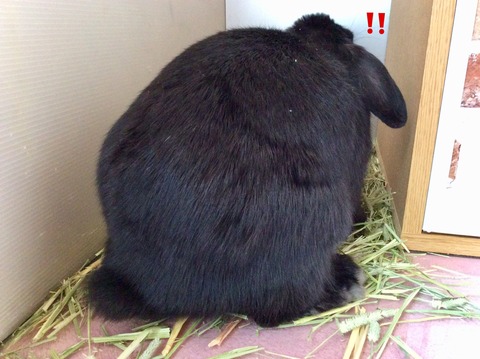 18568306-348E-430E-A66F-9A017137270F