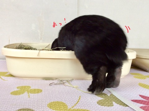 0AA8AB77-0160-447B-A1B1-28B9AC4EE537