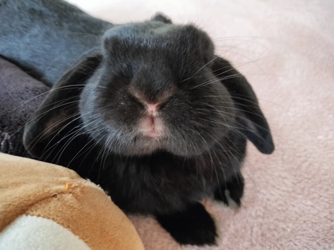 21D5C30A-1BA3-4AE3-B3C2-F9FFA2B7573E