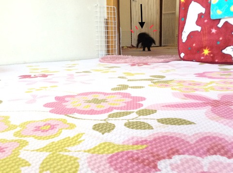 DEB01E10-53A7-4408-9131-51A1EB79FDAB