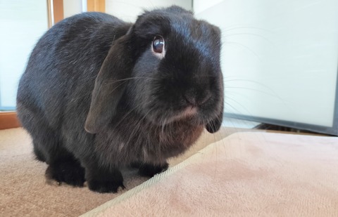 37FA3A03-1B54-445C-A81D-E98EDB22949A