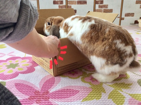 823FFD38-7B8A-468A-A069-8ADDF3937780