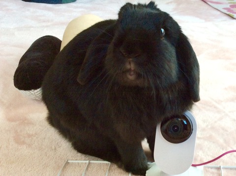 2A37C02D-4B70-49D1-BB0C-E0C3805F7C17