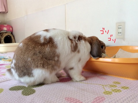 1FE79112-7923-4B8B-A3F4-F456E141D728