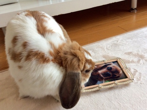 8BB93C88-F76E-4EA4-9D2E-DAA3CDC6906B