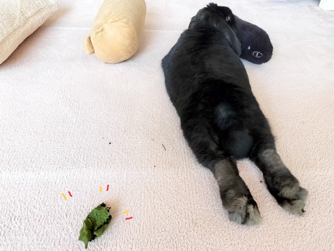 DFBF1168-261F-41F3-9B38-8B25FEAA00F4