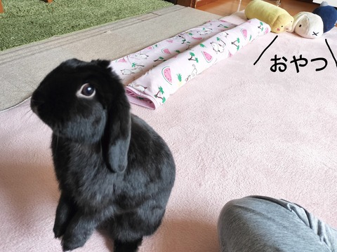 376DFC02-086B-4FD5-8340-16C526C9633E