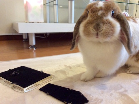 147AA754-1AAB-4EF8-A57E-9105A045F36D