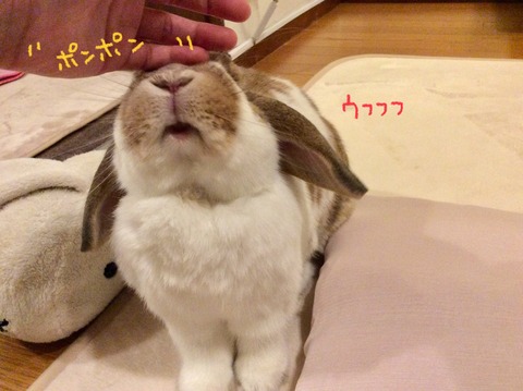 4915CF05-1FAD-41F1-8CF5-40CE9B46D747