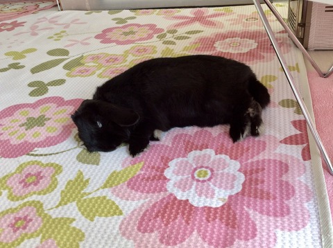 408E88F0-D430-4DDD-B290-C55081D00C25