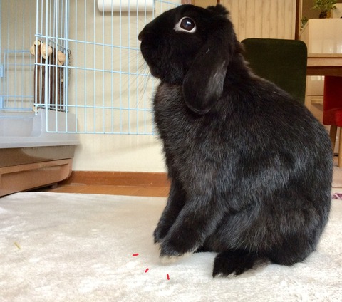 8EFE3B8D-4986-4690-B249-9BE61DB18D28