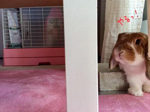 D2E7A420-6B6B-454D-9B4A-9861A4C93CC3