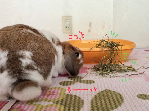 C5875DD5-DF24-4B21-8BFB-FEA57ABB0E75