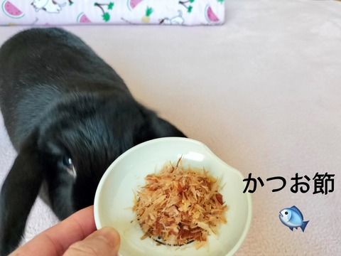 78BDEB60-BC7B-4C5C-B6F9-E74836D72DA7