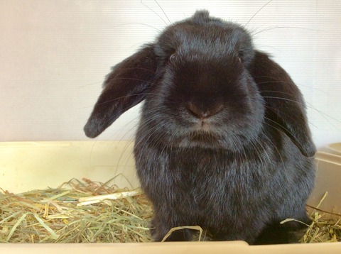 A5E97D6E-3A61-4063-BC41-A14B44EE4A2B