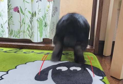 1459C04D-F376-4917-833E-EE32264BD9AF