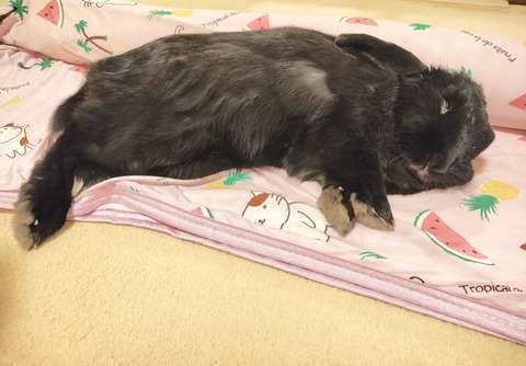 BE48F7B0-99FE-4A16-BC2C-9171D946DEB2