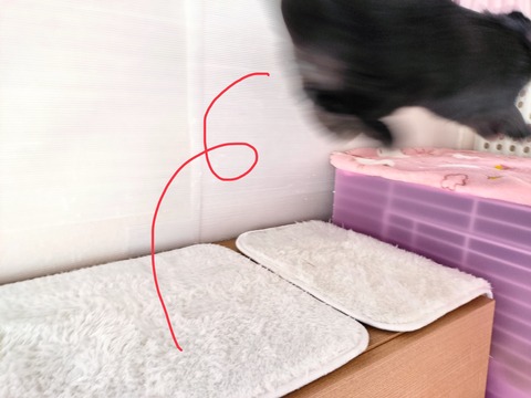 32ABFFDF-AF6E-4ED5-9F56-18C49A033C20