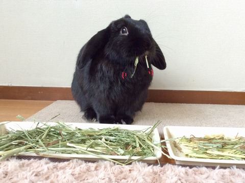 3E7A220D-C491-459D-AA09-B70F2EE2B9F8