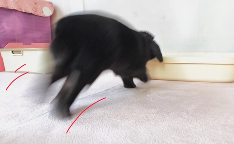 C396EFF4-A121-46AE-A4CF-8BADAE1DE577