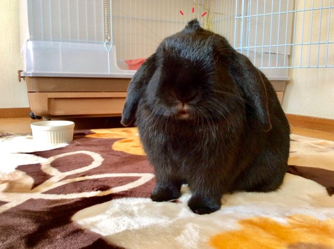 A9D10569-7C0B-411E-A21D-221FE016DB61