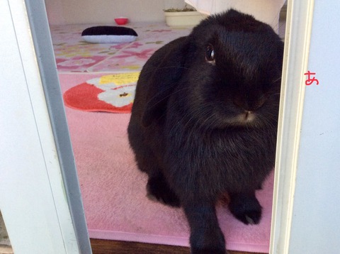 F5CD338F-066A-4EE0-B460-4FF117A4F0E6