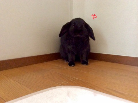 0800377F-986A-4D1F-97A3-F1CAB46E5D4C