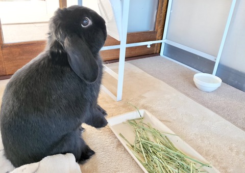 24831C9C-D10E-4424-9525-650850D87A6A