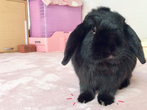 05C0160F-2A27-4EB5-BCAA-0C609FF7C939