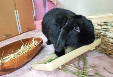 3AE4900D-F963-4FC3-BAEE-AE04AEFDC12F