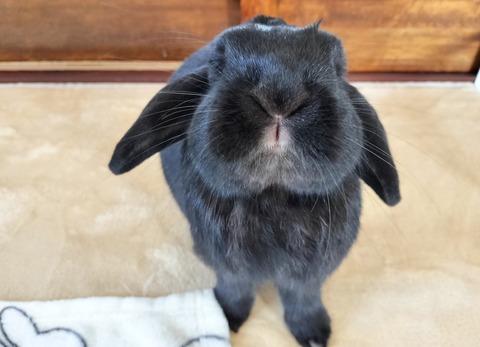 9FFF46E1-3597-4563-B987-42F09017C777