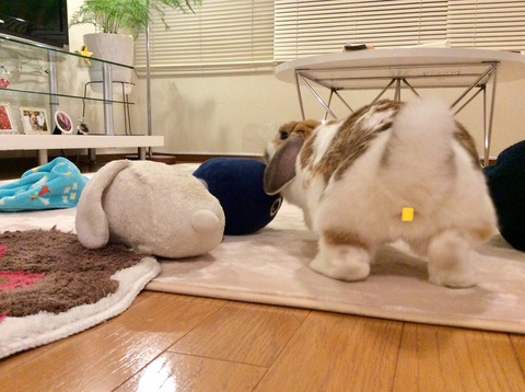 95DD8265-76B8-43E1-B6CD-8FEEBEE9ADE4