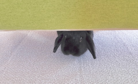 4DFEB621-FF49-4910-944E-4EBD4E7419D7