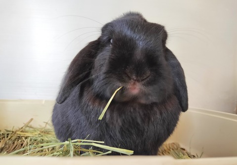 35061F08-F09D-4064-9027-9F5ACA629BBB