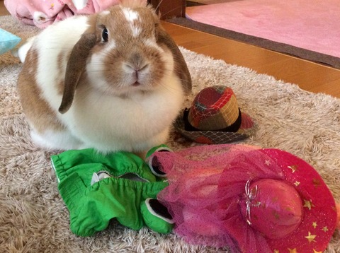 BB027B9D-6A05-4CCF-AC1B-BBD413A1659B