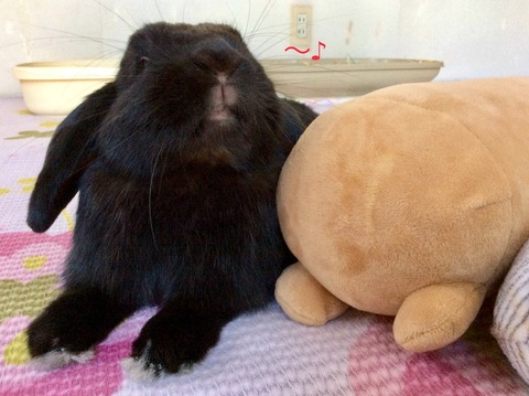 AA021650-1079-44CA-9351-51CA53ECCBAD