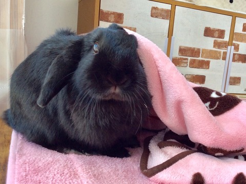 2D62E958-C170-495A-ACDF-197FB0273FAE