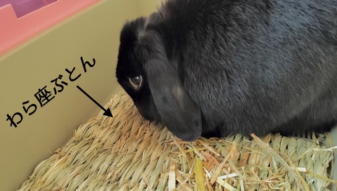 A00E475B-8899-4B82-8205-C6B50D422CD3