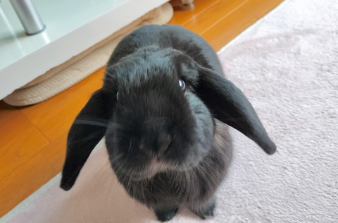 731B95B1-3838-4085-AE97-34A06FD20069