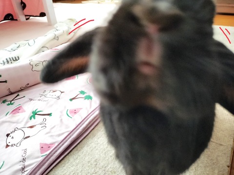 E62B42E7-3801-4DC5-95A0-73168CD601E7