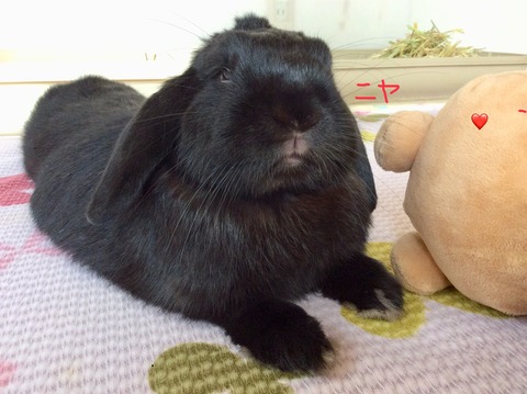 5D034B9F-F73B-4BA5-9340-4F877D7A7870